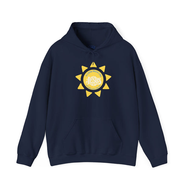 Navy blue hoodie with yellow sun design on a white background