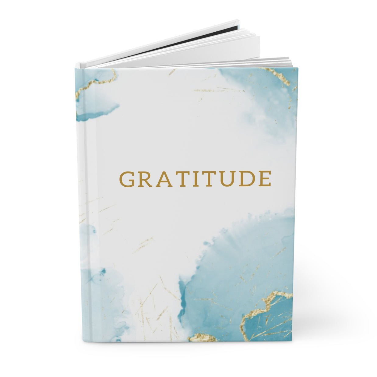 Book titled 'Gratitude' with a blue and gold design on a white background